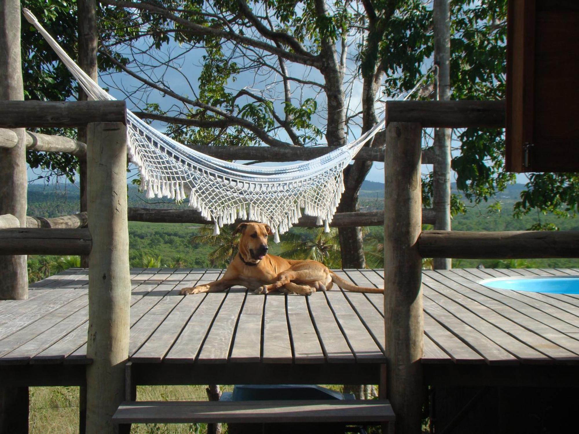 Pura Vida Bahia Hotell Abadia Rum bild